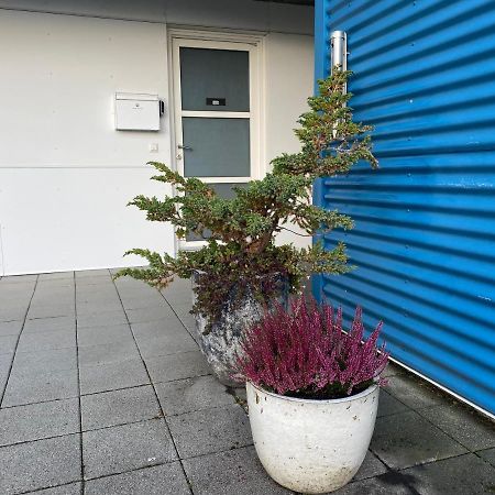 David'S Apartment Selfoss Dış mekan fotoğraf